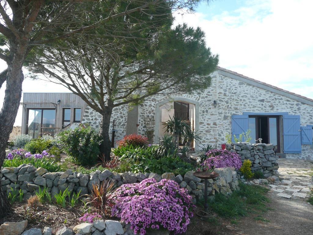 Domaine Castelsec Villa Roquefort-des-Corbières Rom bilde